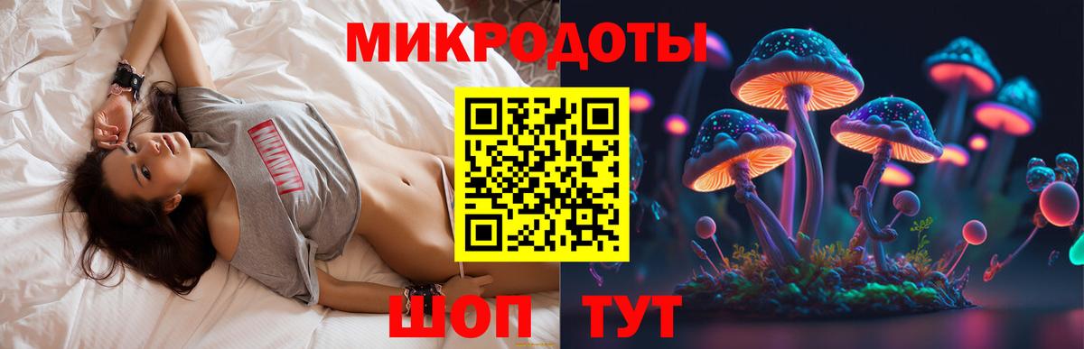 Саратов  Галлюциногенные грибы прущие грибы  Вход с VPN  хочу   Галлюциногенные грибы MAGIC MUSHROOMS 